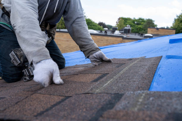 Professional Roofing Contractor in Iuka, MS
