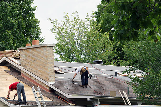 Best Shingle Roofing Installation  in Iuka, MS